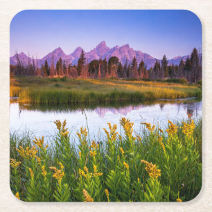Flowers   Grand Teton National Park, Wyoming Square Paper Coaster