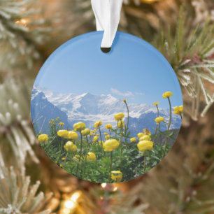 Flowers (homonymie)   Eiger Monch Swiss Alps