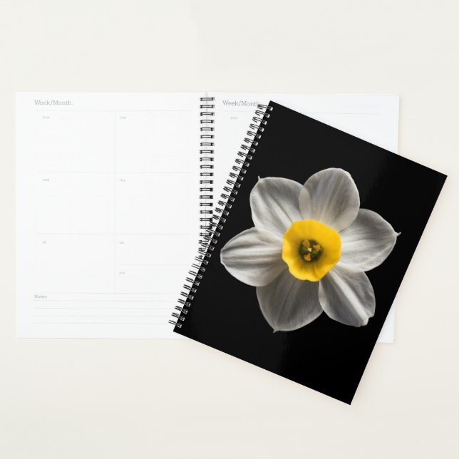Flowers (homonymie) Flower blanc (Devant avec enveloppe)
