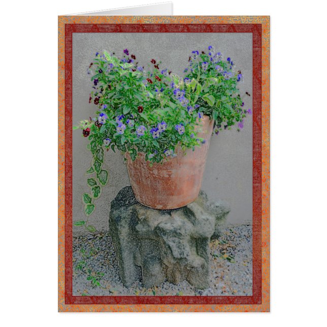 Flowers in a terra-cotta pot on rock (Front)