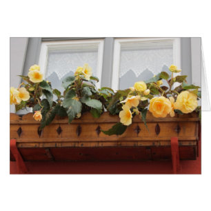 Flowers in a Window Box