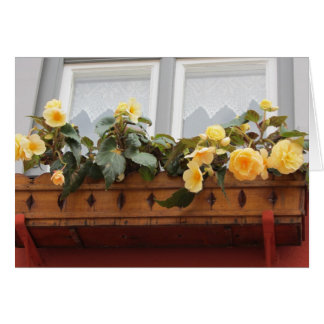Flowers in a Window Box