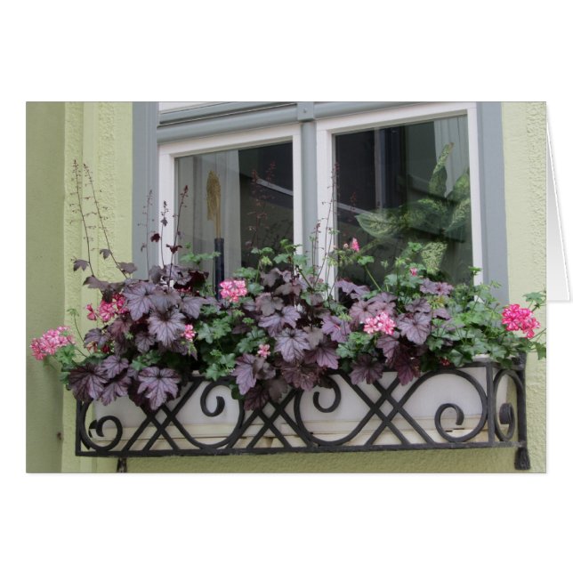 Flowers in a Window Box (Front Horizontal)
