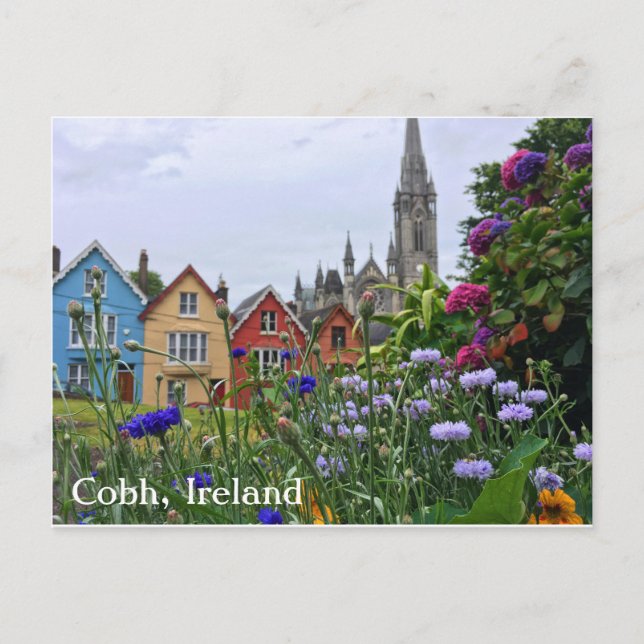 Flowers in Cobh, Ireland Postcard (Front)