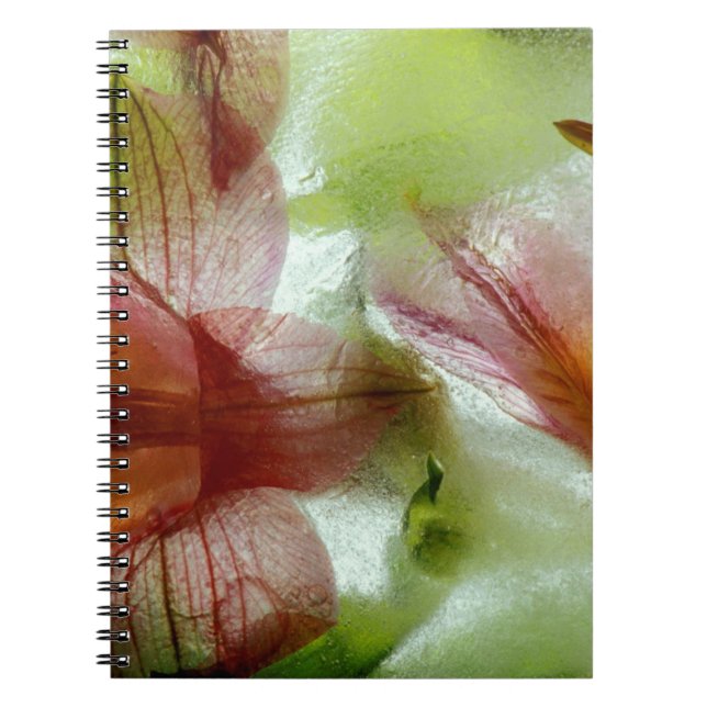 Flowers in ice notebook (Front)