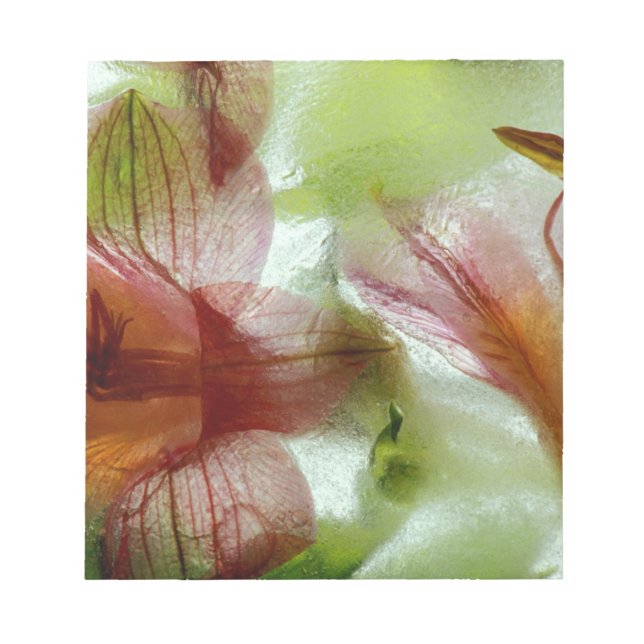 Flowers in ice notepad (Front)