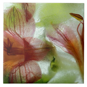 Flowers in ice tile