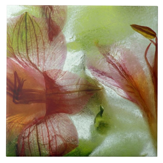 Flowers in ice tile (Front)