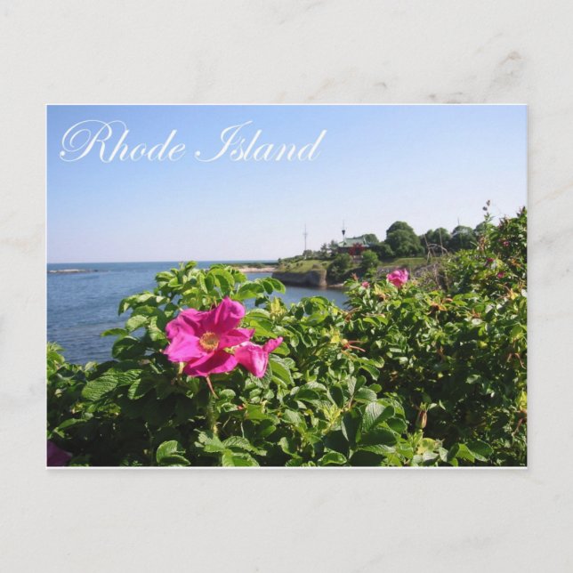 Flowers in Rhode Island Postcard (Front)