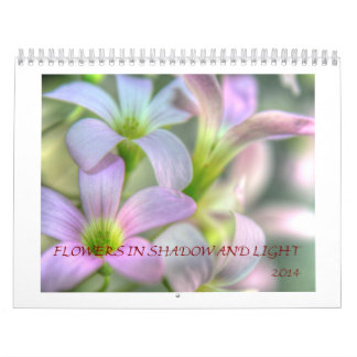 Flowers in Shadows and Light Calendar