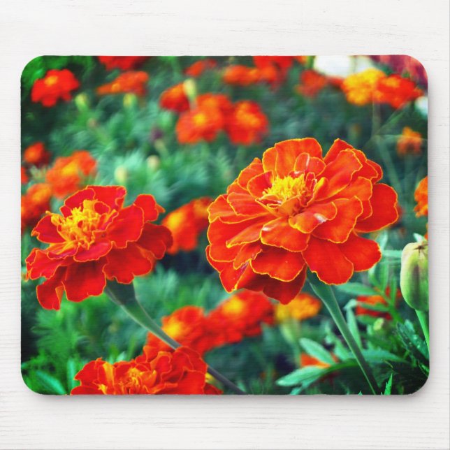 Flowers in the Garden Mouse Pad (Front)