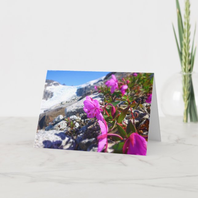 Flowers in the Gilkey Trench (Blank inside) Card (Front)