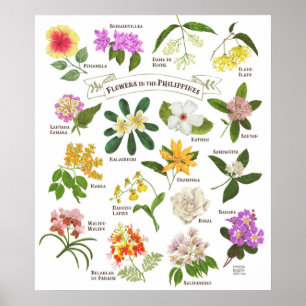 Flowers in the Philippines Poster