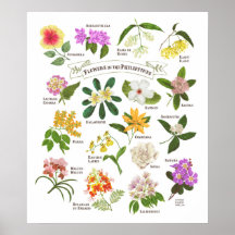 Flowers in the Philippines
