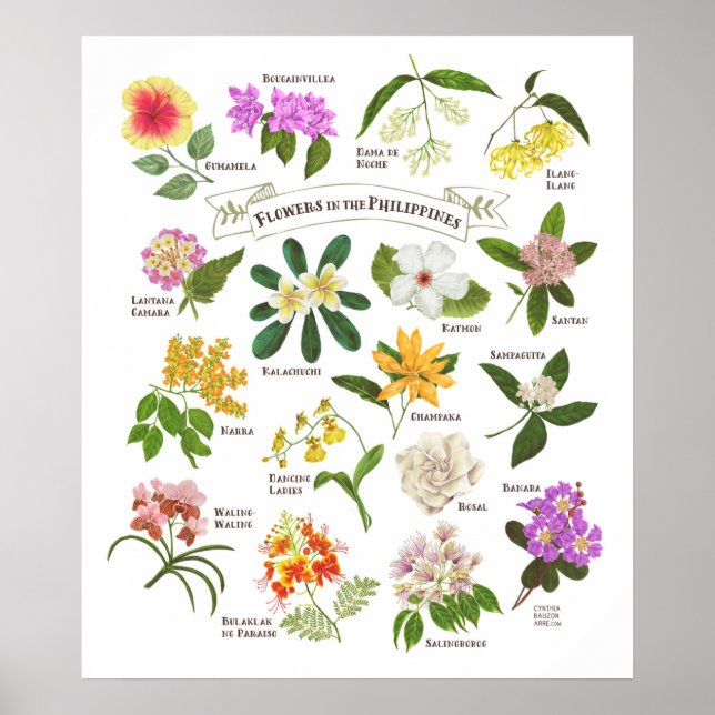 Flowers in the Philippines Poster (Front)