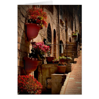 Flowers in the Street Assisi Italty