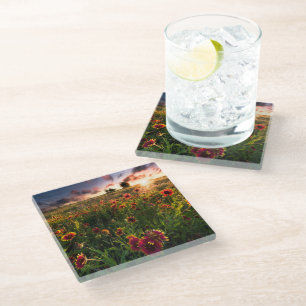 Flowers Indian Blanket Wildflower Texas Glass Coaster