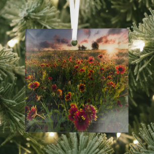 Flowers Indian Blanket Wildflower Texas Glass Ornament