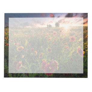 Flowers Indian Blanket Wildflower Texas Notepad