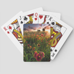 Flowers Indian Blanket Wildflower Texas Playing Cards