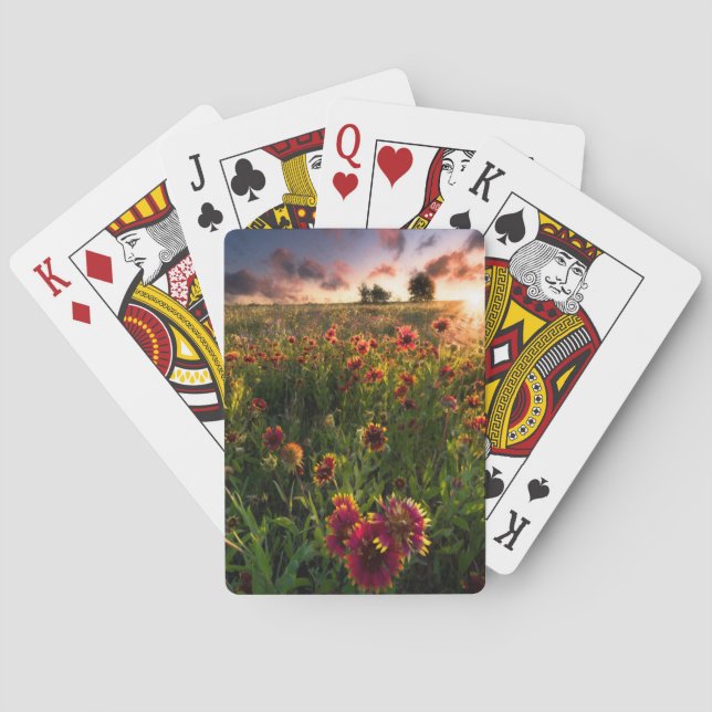 Flowers | Indian Blanket Wildflower Texas Playing Cards (Back)