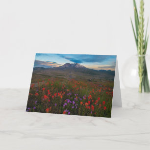 Flowers Indian Paintbrush & Penstemon Card