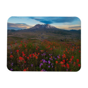 Flowers Indian Paintbrush & Penstemon Magnet