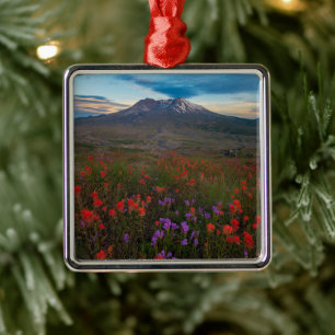 Flowers   Indian Paintbrush & Penstemon Metal Ornament