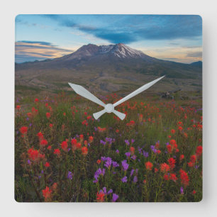 Flowers   Indian Paintbrush & Penstemon Square Wall Clock