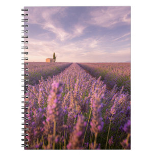 Flowers   Lavender Southern France Notebook