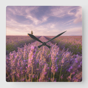 Flowers Lavender Southern France Square Wall Clock