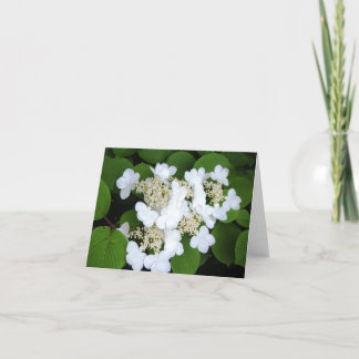 "Flowers Like Butterflies" Card