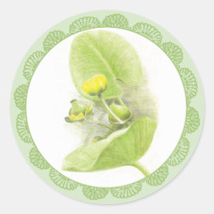 Flowers lilies classic round sticker