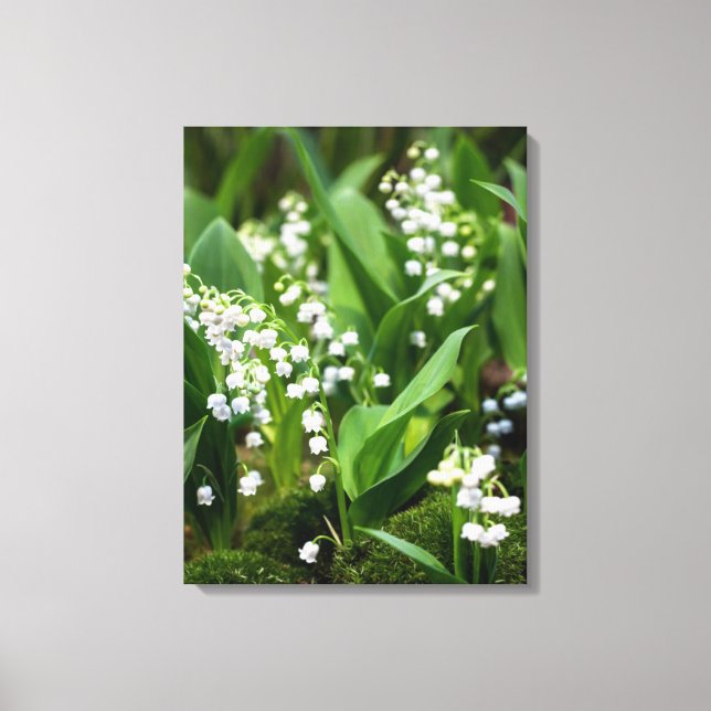 Flowers | Lily of the Valley Sweden Canvas Print (Front)