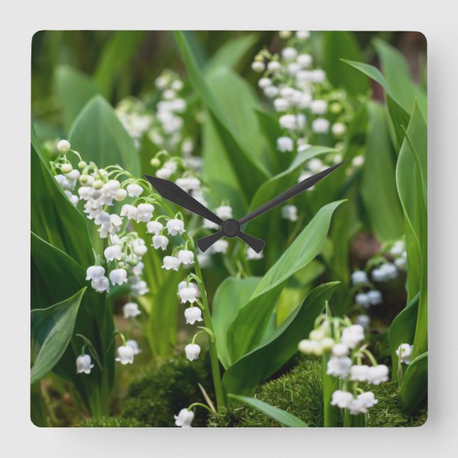 Flowers | Lily of the Valley Sweden Square Wall Clock (Front)