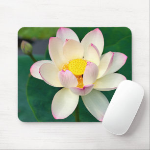 Flowers   Lotus Water Flower Mouse Pad