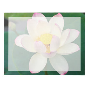 Flowers Lotus Water Flower Notepad