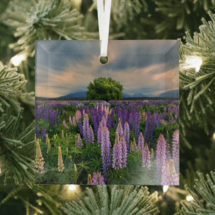 Flowers Lupine Field in New Zealand Glass Ornament