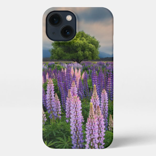 Flowers | Lupine Field in New Zealand iPhone Case (Back)