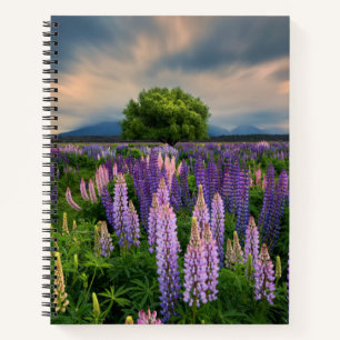 Flowers   Lupine Field in New Zealand Notebook
