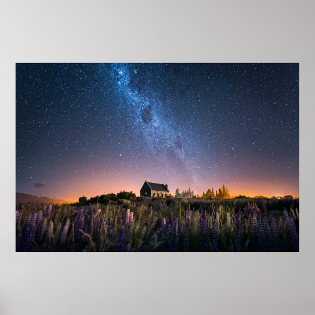 Flowers | Lupines Blooming Lake Tekapo New Zealand Poster (Front)