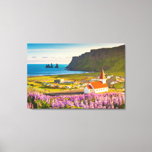 Flowers   Lupines in Bloom Southern Iceland Canvas Print