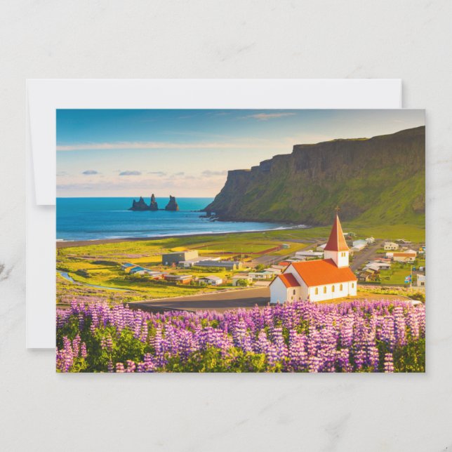 Flowers | Lupines in Bloom Southern Iceland Thank You Card (Front)