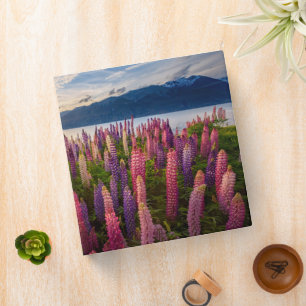 Flowers   Lupines New Zealand Binder
