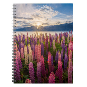 Flowers Lupines New Zealand Notebook