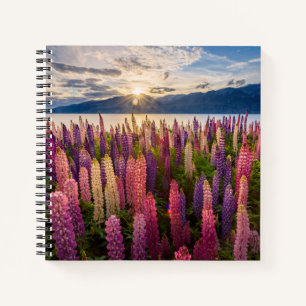 Flowers Lupines New Zealand Notebook