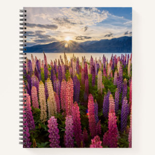 Flowers Lupines New Zealand Notebook