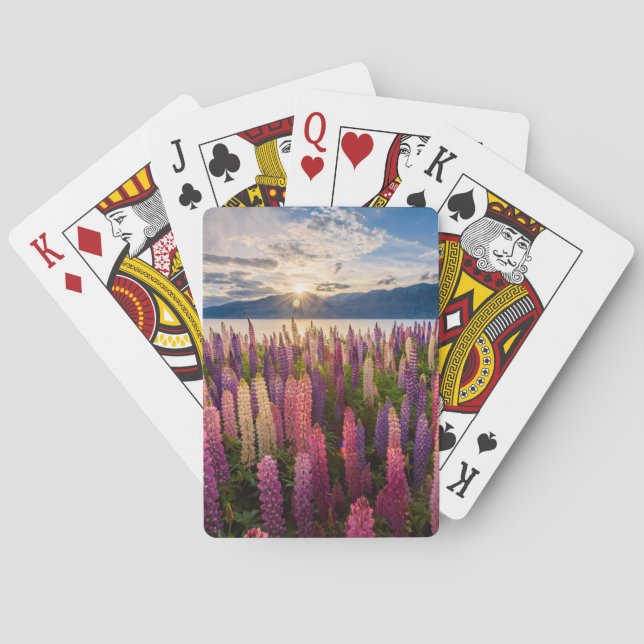 Flowers | Lupines New Zealand Playing Cards (Back)