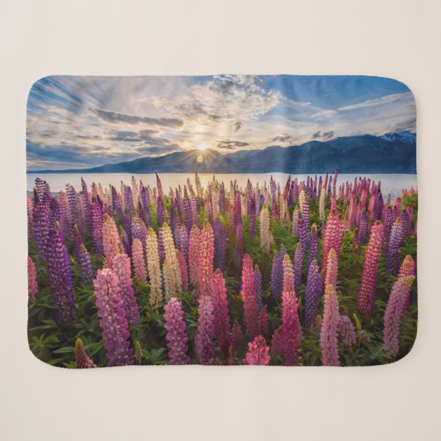 Flowers | Lupines New Zealand Sherpa Blanket (Front (Horizontal))