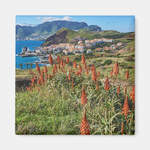 Flowers Madeira Island Portugal Magnet